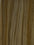 Echo Nano Tips – Professional Pre-Bonded Hair Extensions