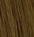 Russian Remi Weft Hair Extensions 14–22 Inch | Echo Signature
