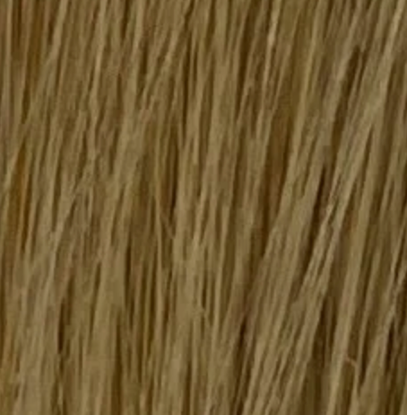 Russian Remi Weft Hair Extensions 14–22 Inch | Echo Signature