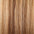 Clip In Human Hair Extensions 14–20 Inch | 100% Remy Hair | 6 Pieces | Echo Signature
