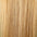 Clip In Human Hair Extensions 14–20 Inch | 100% Remy Hair | 6 Pieces | Echo Signature