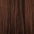 Russian Remi Weft Hair Extensions 14–22 Inch | Echo Signature