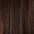 Clip In Human Hair Extensions 14–20 Inch | 100% Remy Hair | 6 Pieces | Echo Signature