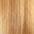 Clip In Human Hair Extensions 14–20 Inch | 100% Remy Hair | 6 Pieces | Echo Signature