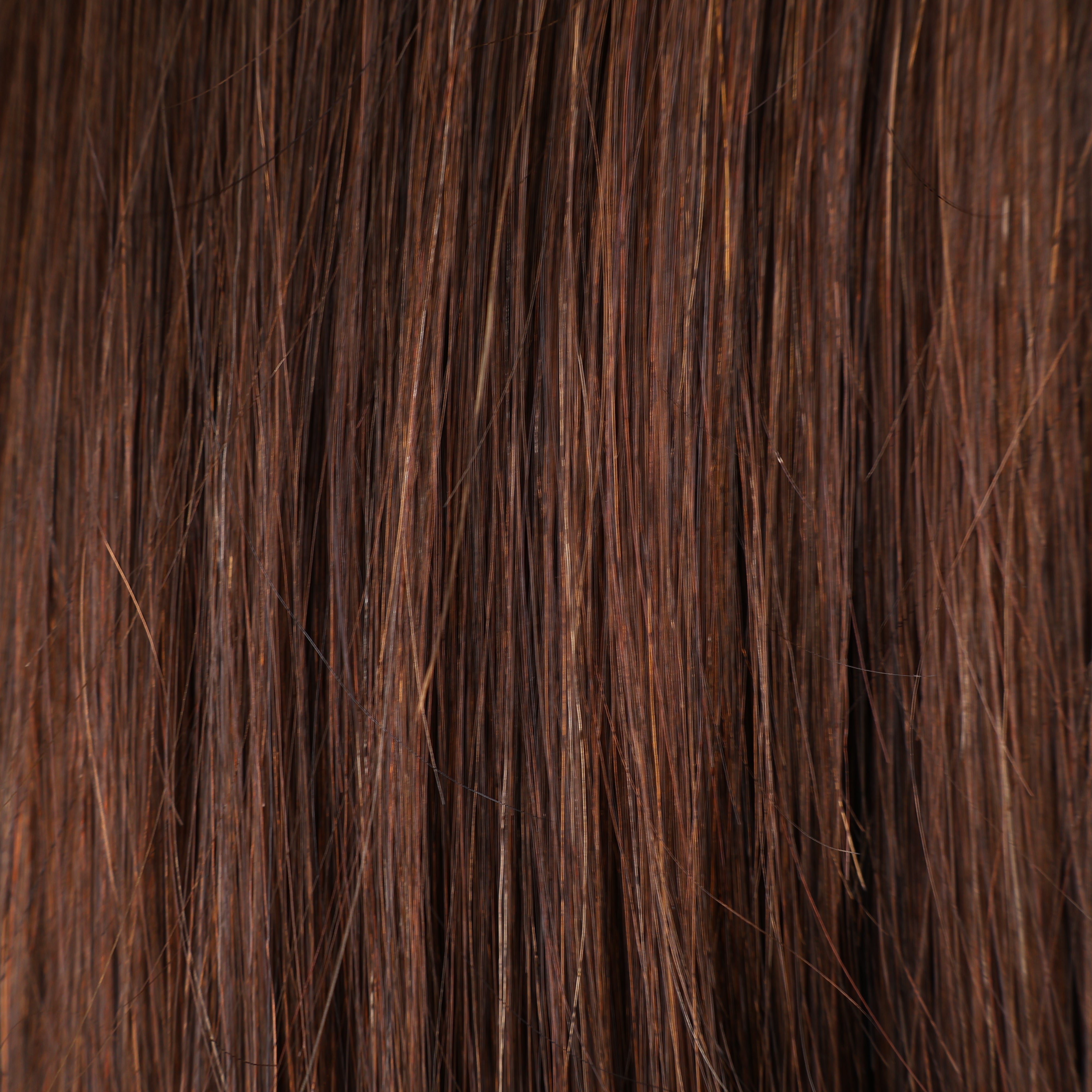 Clip In Human Hair Extensions 14–20 Inch | 100% Remy Hair | 6 Pieces | Echo Signature
