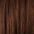 Clip In Human Hair Extensions 14–20 Inch | 100% Remy Hair | 6 Pieces | Echo Signature