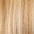 Clip In Human Hair Extensions 14–20 Inch | 100% Remy Hair | 6 Pieces | Echo Signature