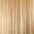 Clip In Human Hair Extensions 14–20 Inch | 100% Remy Hair | 6 Pieces | Echo Signature