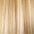 Clip In Human Hair Extensions 14–20 Inch | 100% Remy Hair | 6 Pieces | Echo Signature