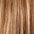 Clip In Human Hair Extensions 14–20 Inch | 100% Remy Hair | 6 Pieces | Echo Signature