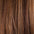 Clip In Hair Extensions 18–28 Inch | Extra Volume 10 PCS | Echo Signature
