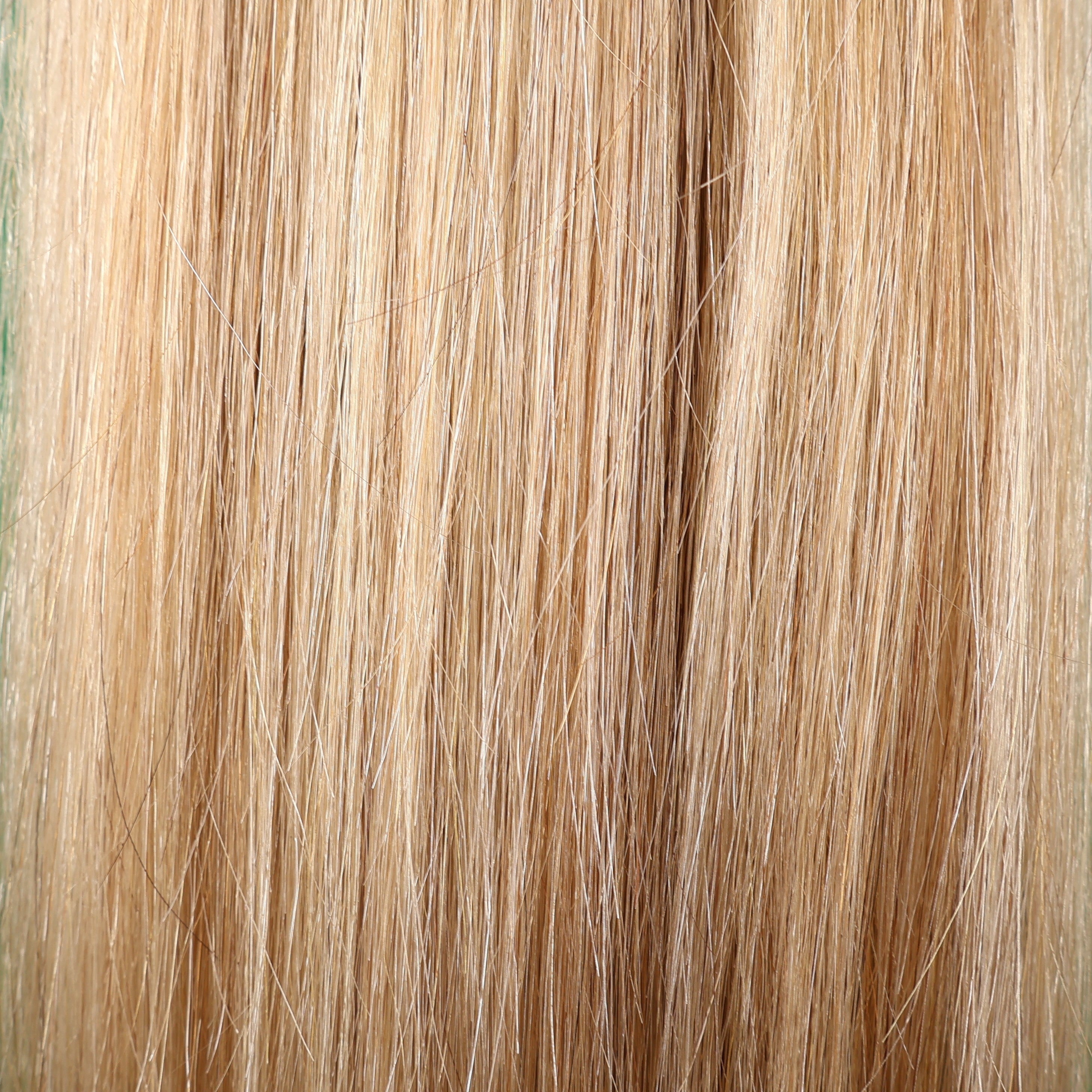 Clip In Human Hair Extensions 14–20 Inch | 100% Remy Hair | 6 Pieces | Echo Signature