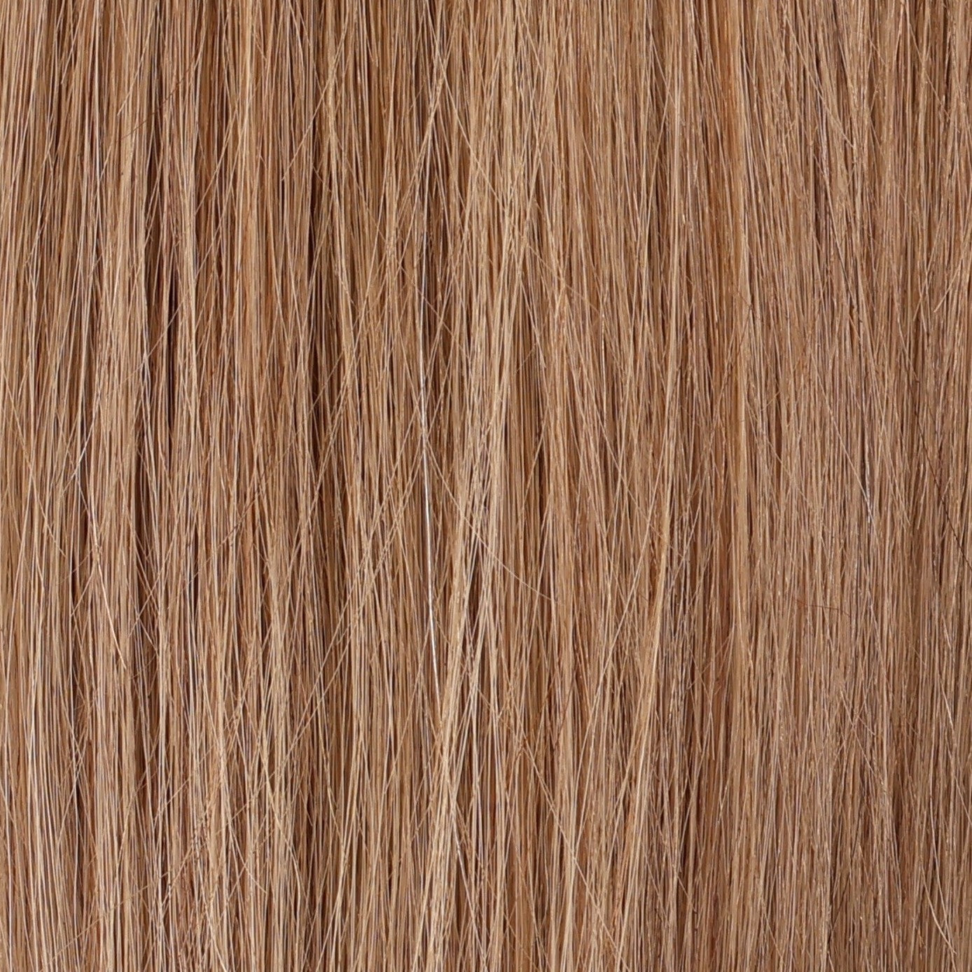 European Weft Hair Extensions 12–24 Inch | Echo Signature | 100% Human Hair