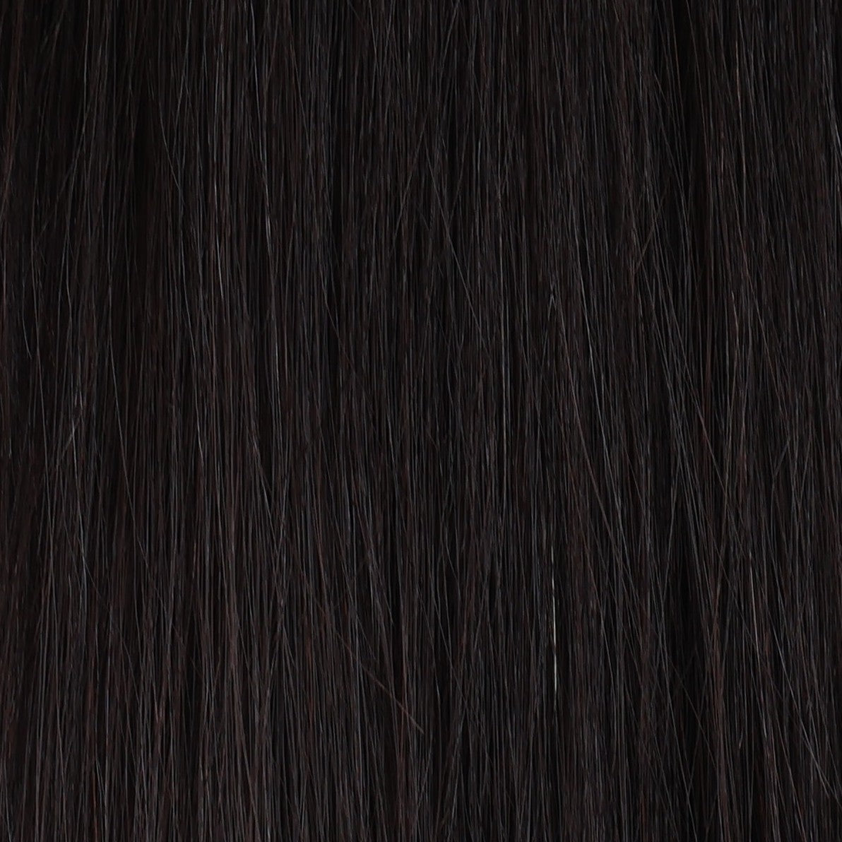 European Weft Hair Extensions 12–24 Inch | Echo Signature | 100% Human Hair