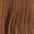European Weft Hair Extensions 12–24 Inch | Echo Signature | 100% Human Hair