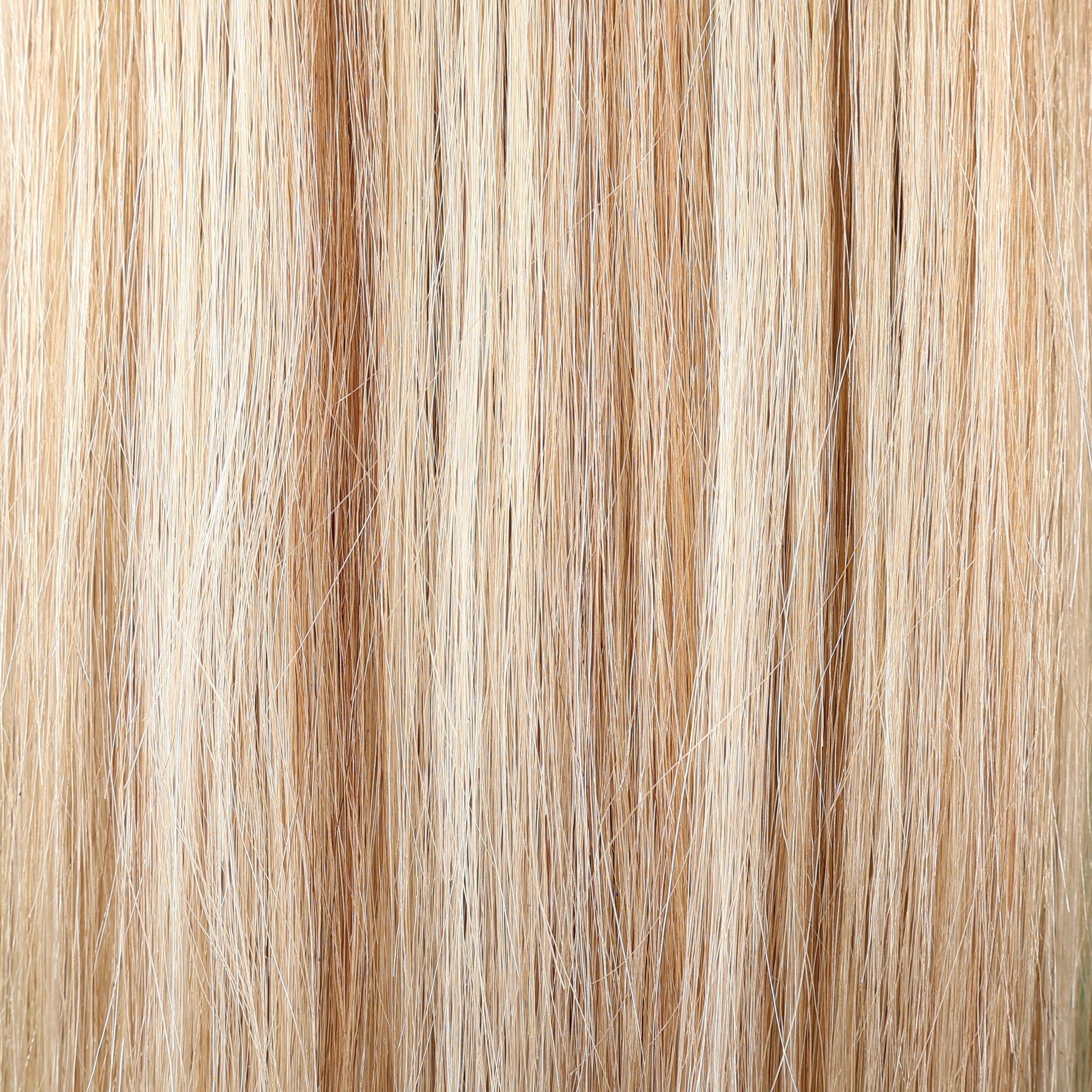 European Weft Hair Extensions 12–24 Inch | Echo Signature | 100% Human Hair