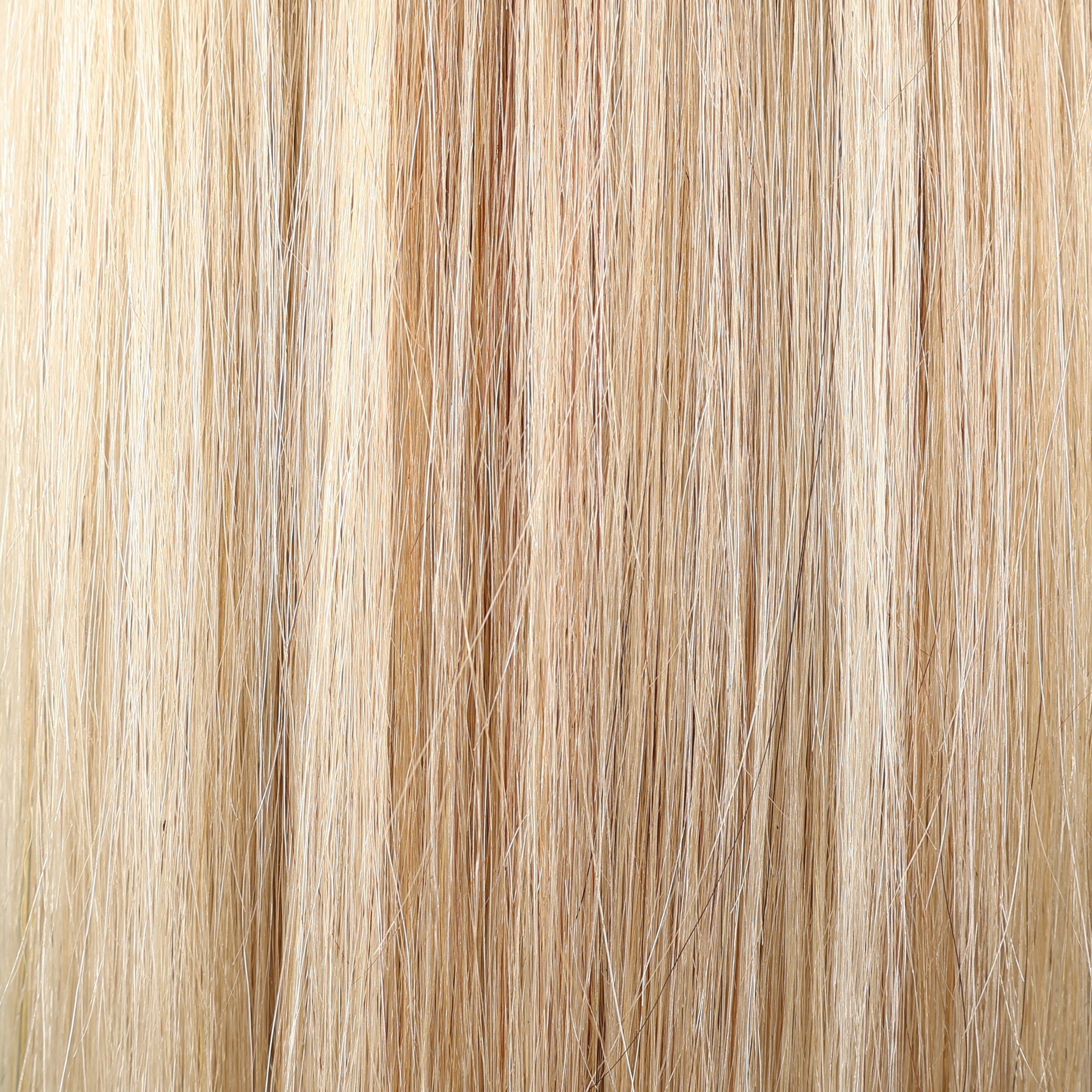 European Weft Hair Extensions 12–24 Inch | Echo Signature | 100% Human Hair