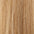 European Weft Hair Extensions 8–26 Inch | Echo Signature | 100% Human Hair