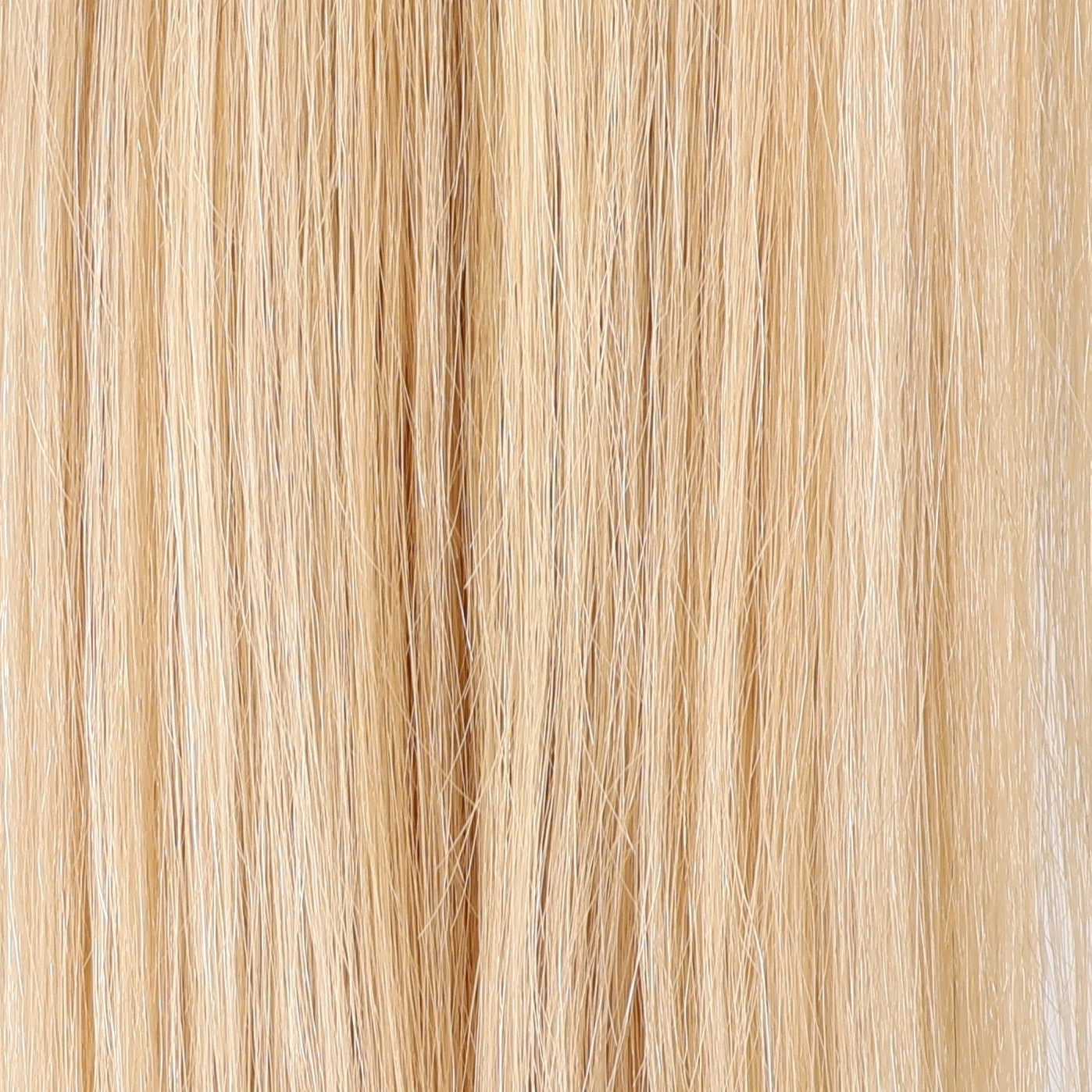 European Weft Hair Extensions 12–24 Inch | Echo Signature | 100% Human Hair