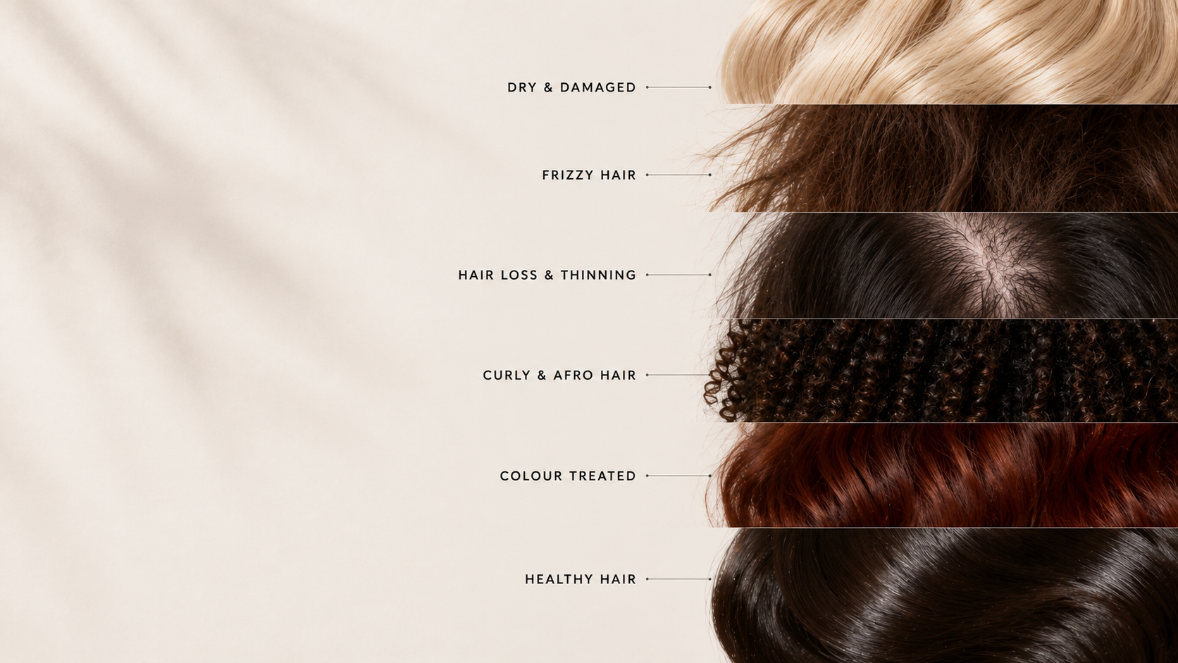 A vertical infographic showing six hair health and texture states labeled 'DRY & DAMAGED', 'FRizzy HAIR', 'HAIR LOSS & THINNING', 'CURLY & AFRO HAIR', 'COLOUR TREATED', and 'HEALTHY HAIR', with corresponding close-up hair swatches on the right against a warm beige background.