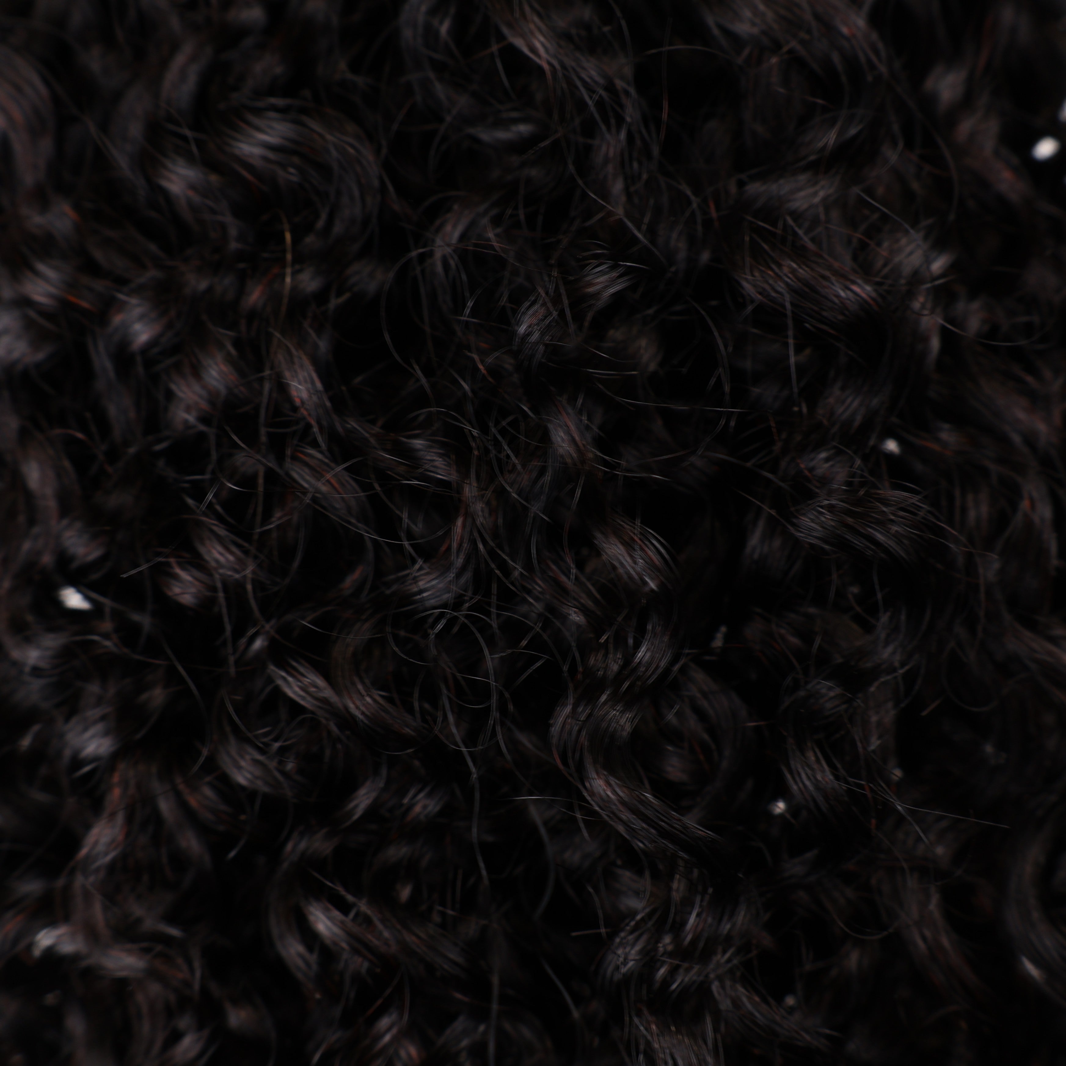 Pure Brazilian Weft Hair Extensions 10–28 Inch | Echo Signature | 100% Human Hair