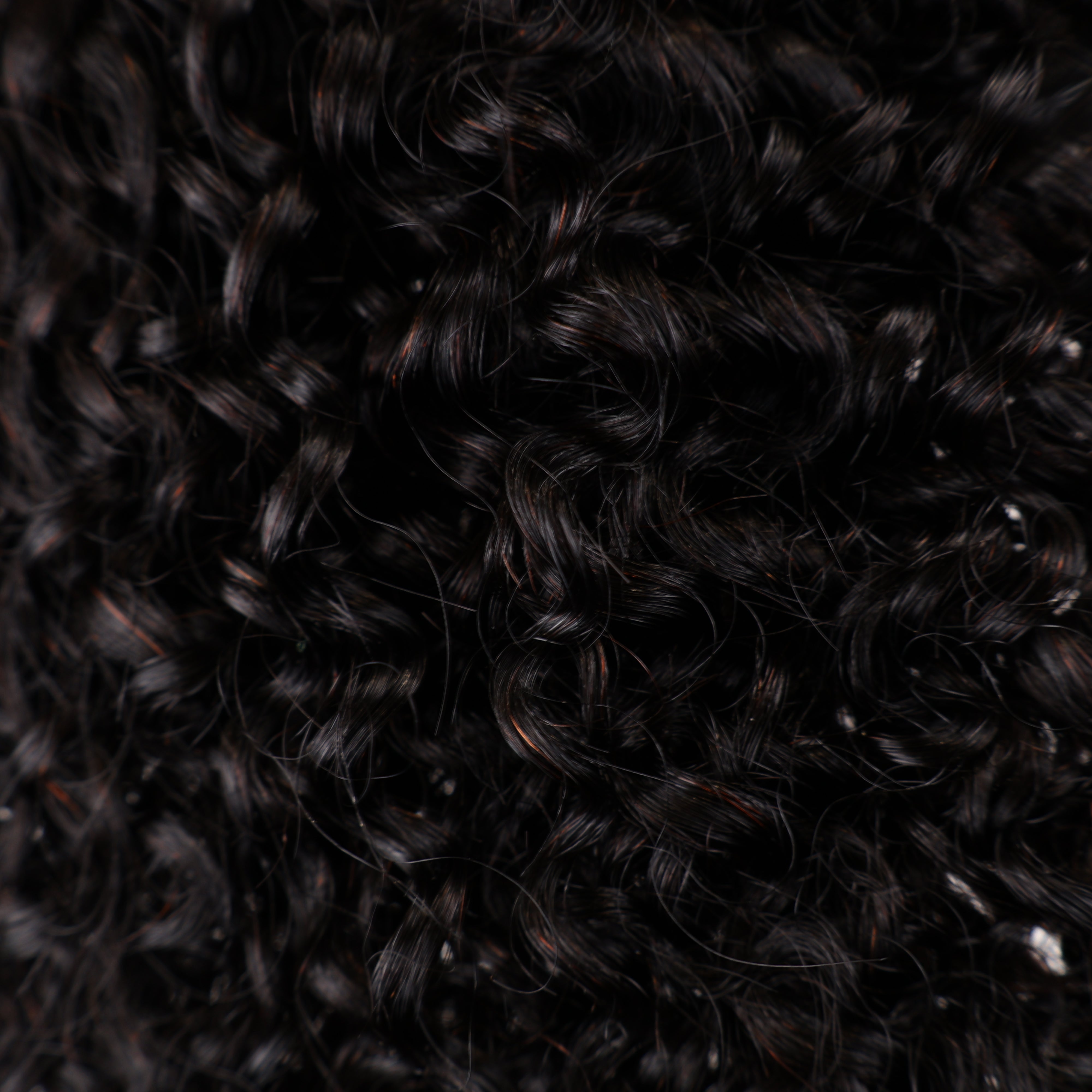 Pure Brazilian Weft Hair Extensions 10–28 Inch | Echo Signature | 100% Human Hair