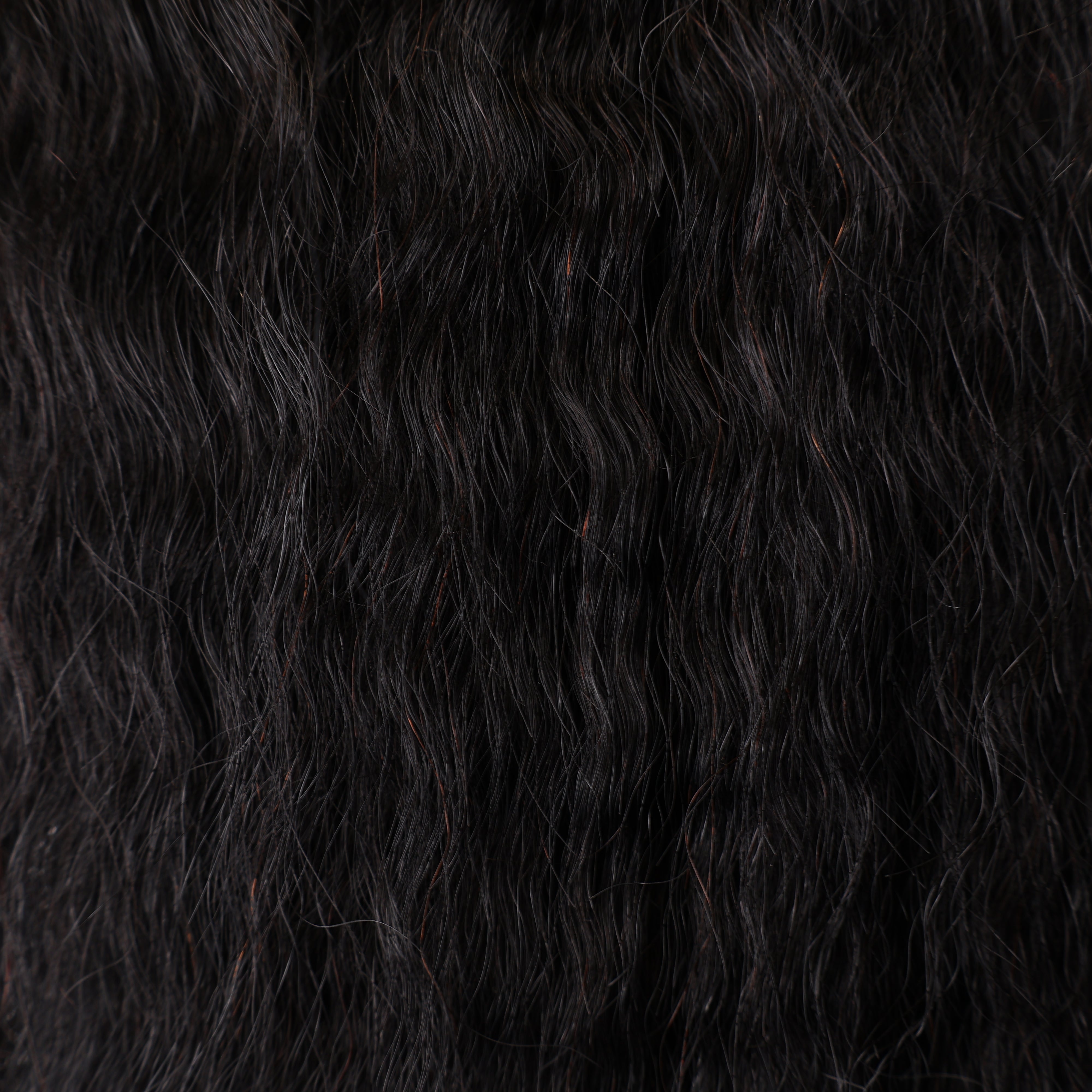 Pure Brazilian Weft Hair Extensions 10–28 Inch | Echo Signature | 100% Human Hair