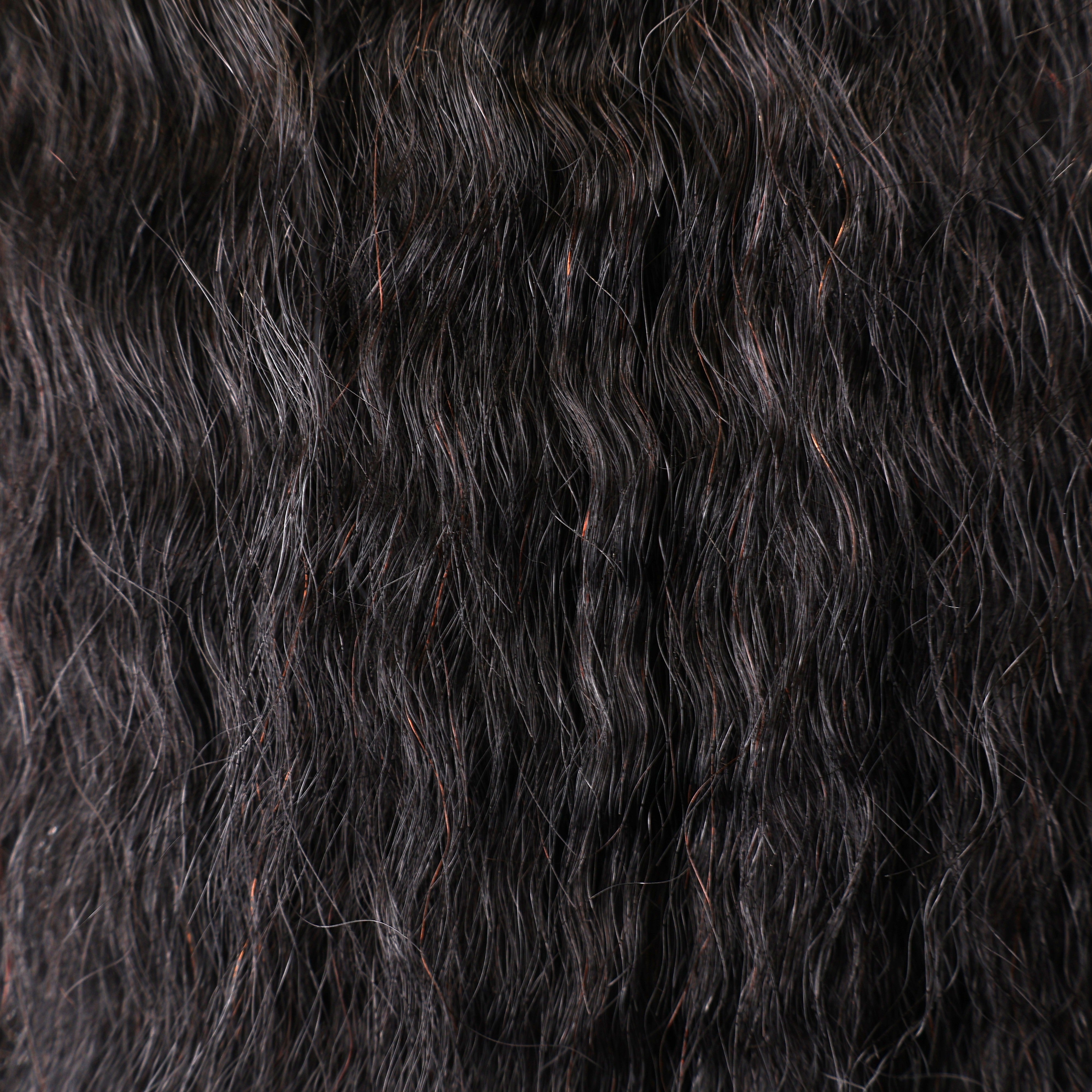 Pure Brazilian Weft Hair Extensions 10–28 Inch | Echo Signature | 100% Human Hair