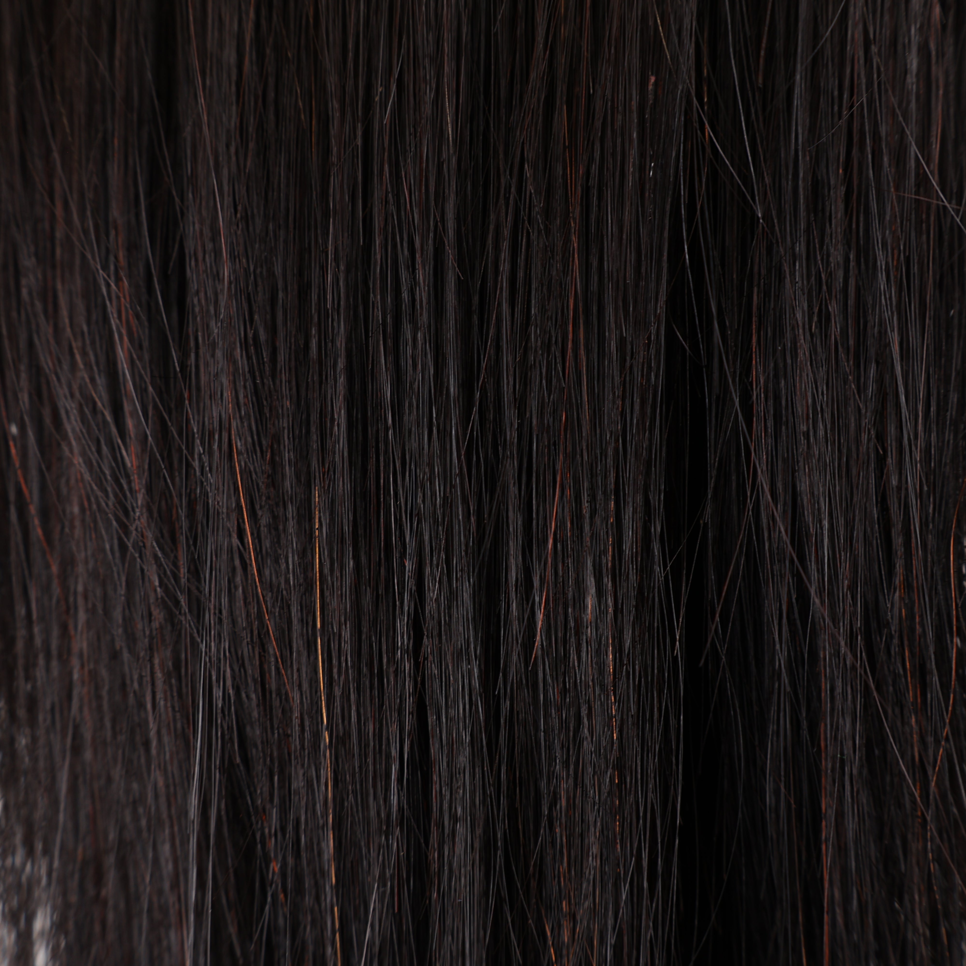Pure Brazilian Weft Hair Extensions 10–28 Inch | Echo Signature | 100% Human Hair