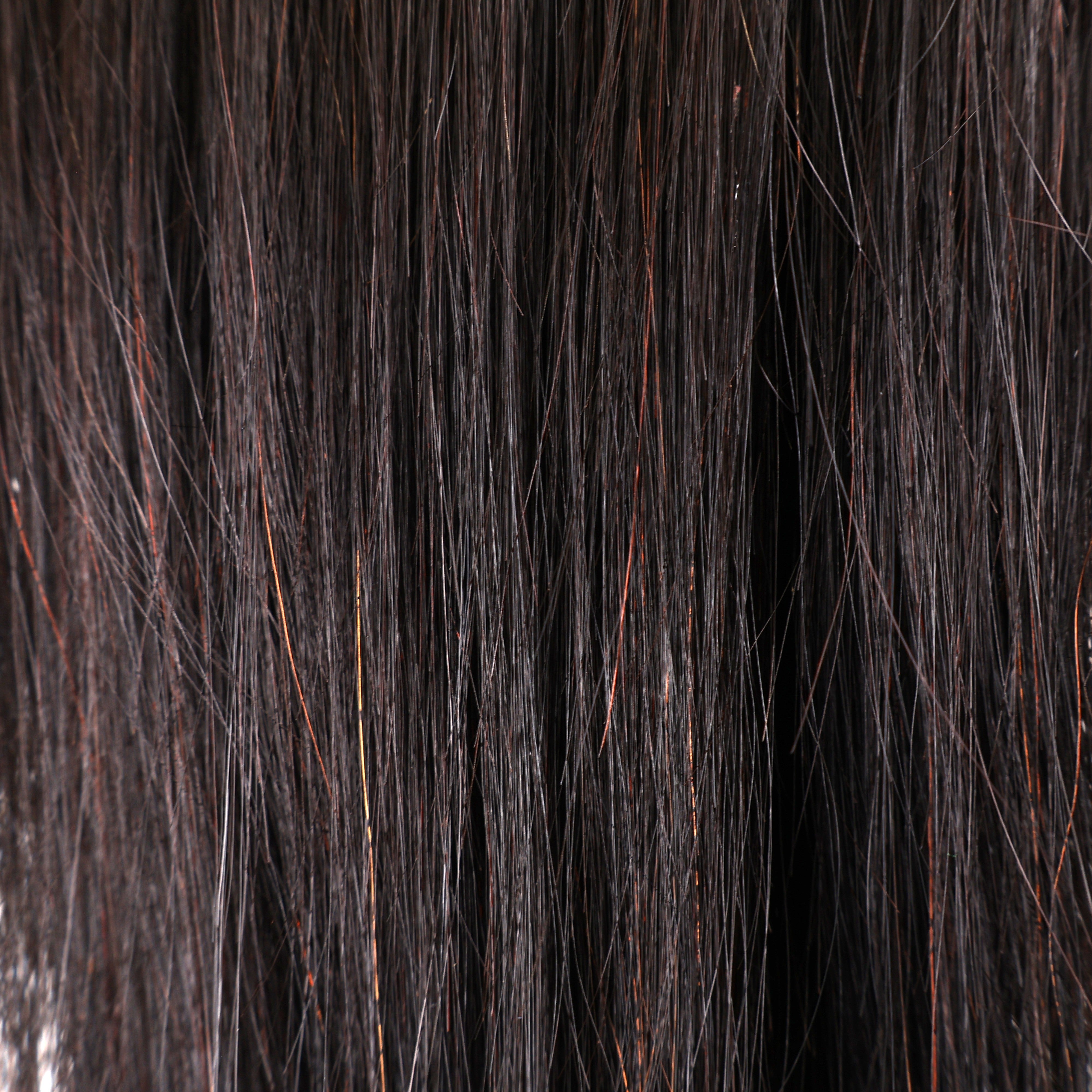Pure Brazilian Weft Hair Extensions 10–28 Inch | Echo Signature | 100% Human Hair