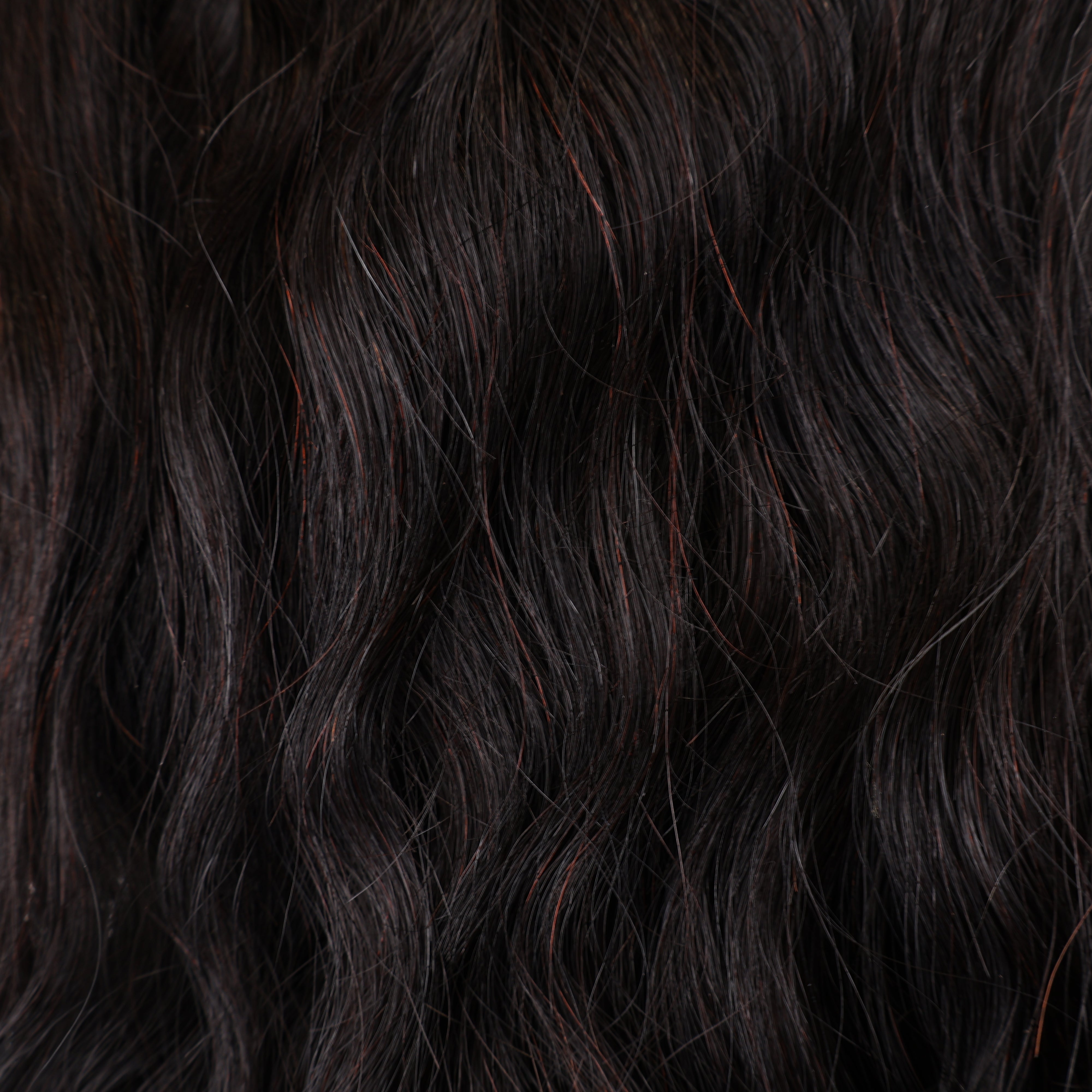 Pure Brazilian Weft Hair Extensions 10–28 Inch | Echo Signature | 100% Human Hair