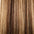 Russian Remi Weft Hair Extensions 14–22 Inch | 100% Human Hair | Echo Signature