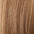 Virgin Remy Silky Hair Extensions 14–24 Inch | Echo Signature | 100% Human Hair