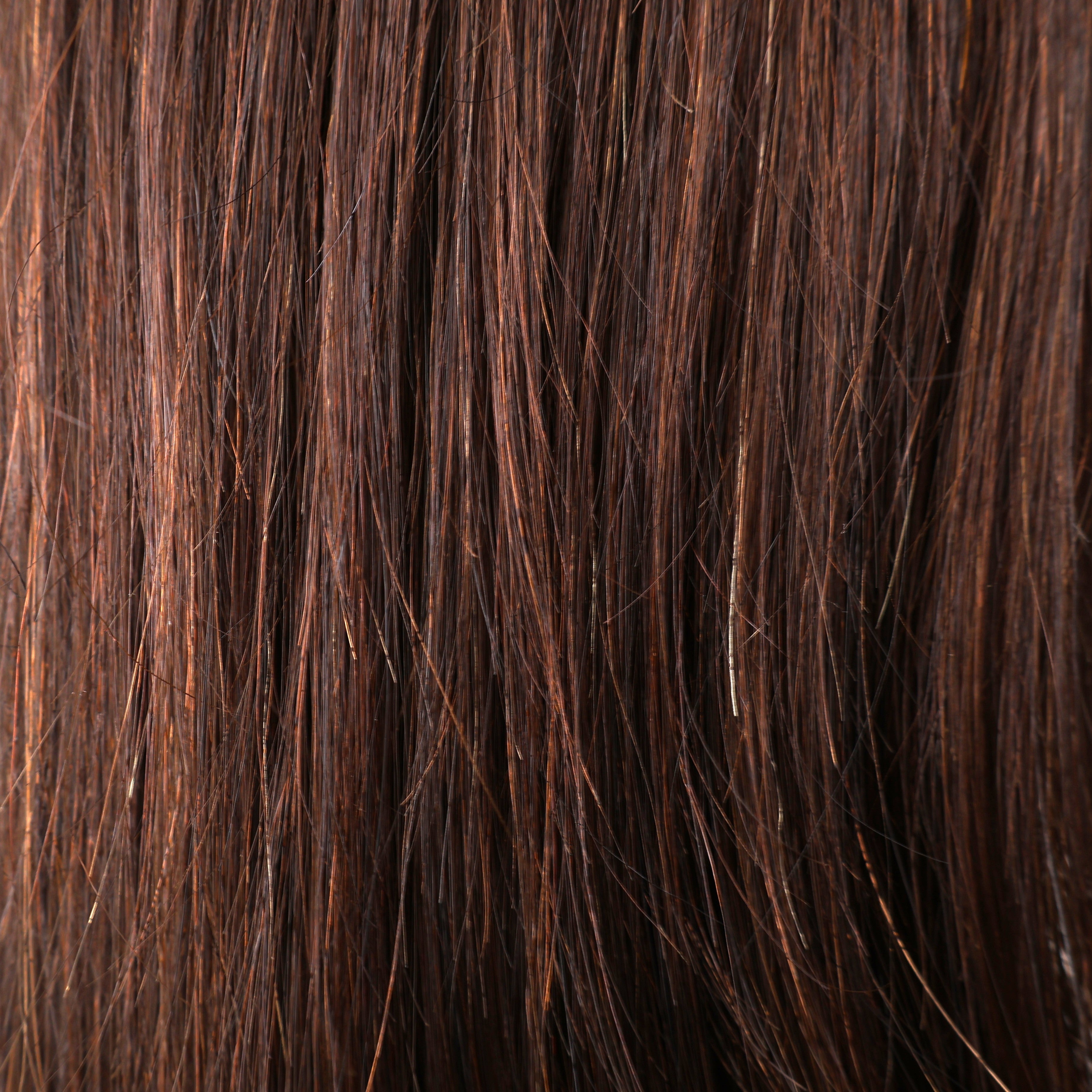 Virgin Remy Silky Hair Extensions 14–24 Inch | Echo Signature | 100% Human Hair