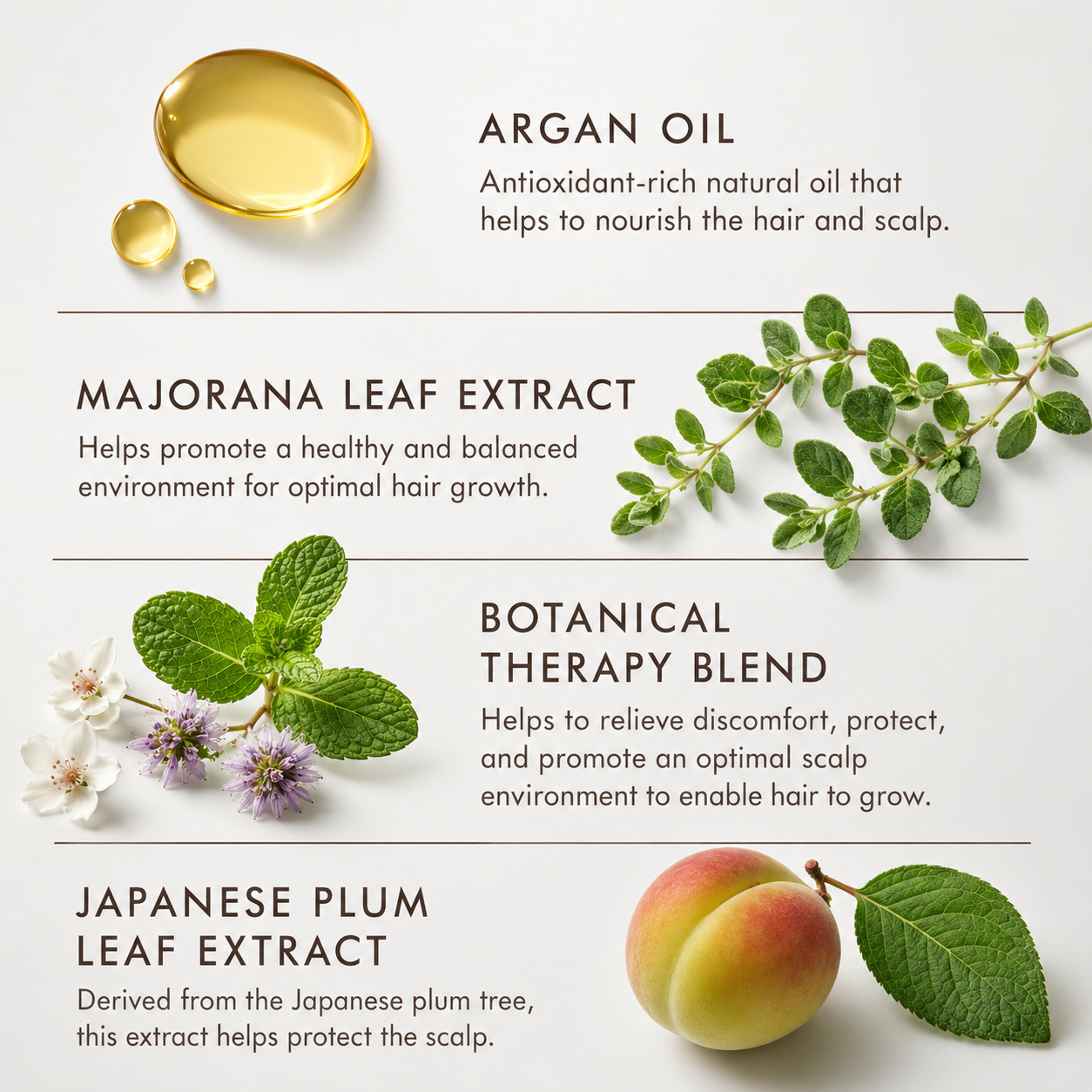Moroccanoil Revitalizing Scalp Tonic key ingredients with argan oil, majorana leaf extract, botanical therapy blend and Japanese plum leaf extract.